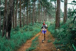 BIB: 
                            <button type="button" onclick="openModal(25660829)" class="btn btn-primary btn-sm float-right btn-popup" data-toggle="modal" data-target=".modal-high-quality">
                        <i class="fas fa-shopping-cart"></i> Add to Cart
                    </button>
                                            <button type="button" onclick="isThisMe(25660829, true)" class="btn btn-success btn-sm float-right btn-popup btn-isme hidden" data-toggle="tooltip" data-placement="bottom" title="นี่คือรูปของคุณใช่ไหม คลิกที่นี่เพื่อเอาเข้าอัลบั้ม">
                        <i class="fas fa-plus"></i> Add to album
                    </button>
                    <button type="button" onclick="isThisMe(25660829, false)" class="btn btn-warning btn-sm float-right btn-popup btn-isnotme hidden">
                        <i class="fas fa-ban"></i> Remove from album
                    </button>